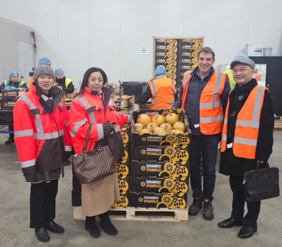 Vietnamese Ambassador visits the European distribution centre of The Fruit Republic
